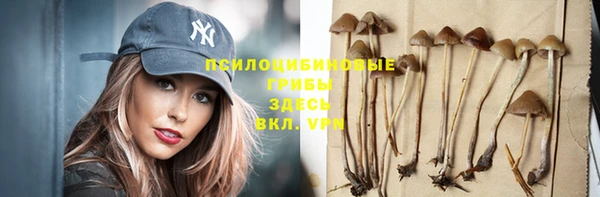мдма Гусиноозёрск